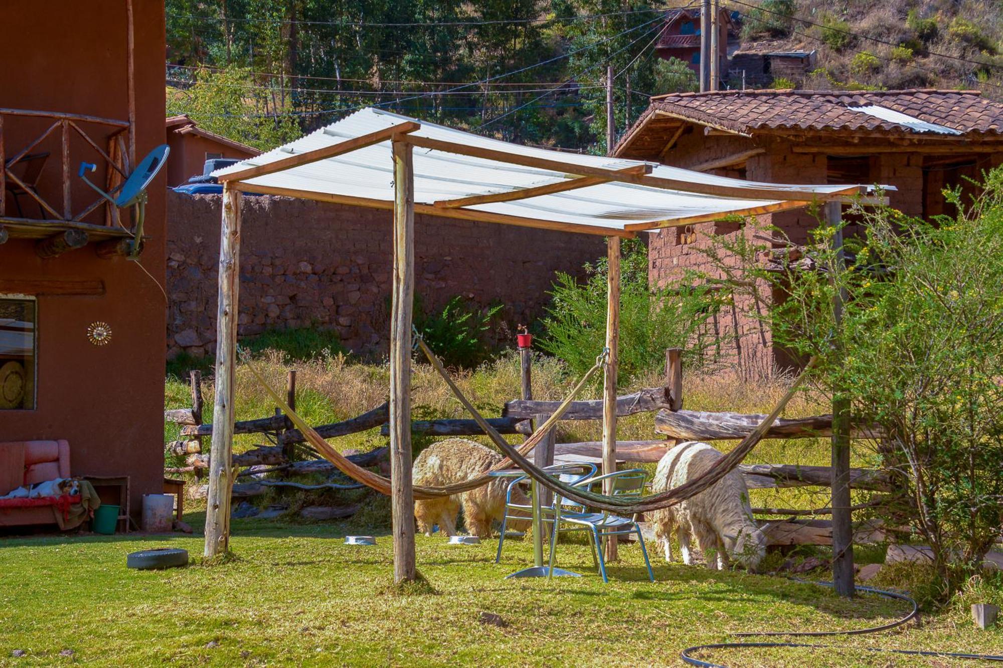 Appartement Manchitas Wasi à Pisac Extérieur photo