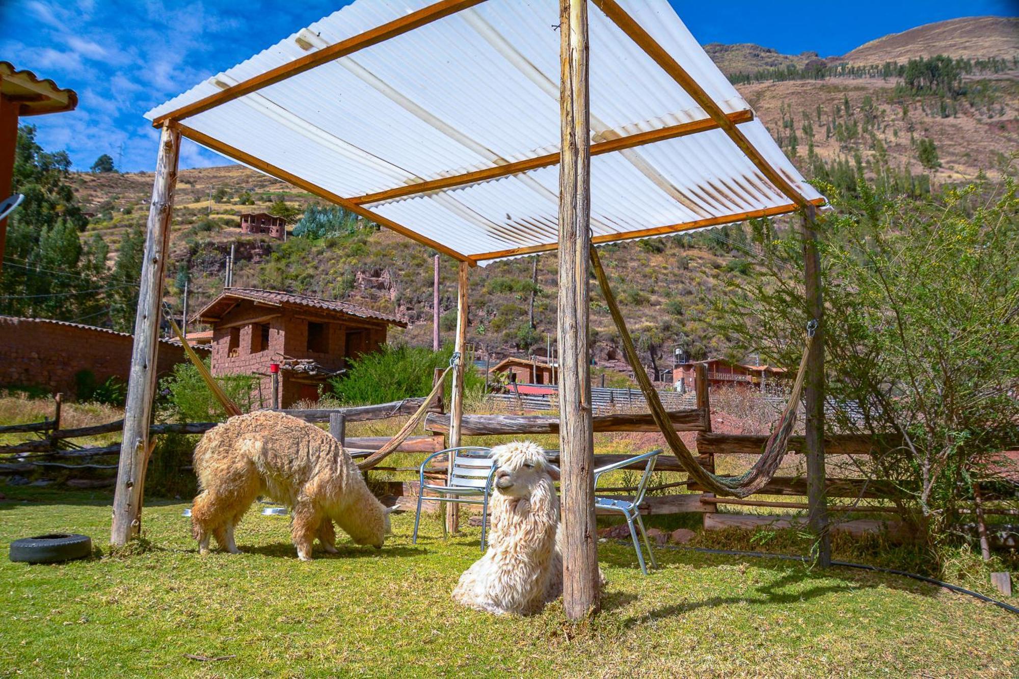 Appartement Manchitas Wasi à Pisac Extérieur photo