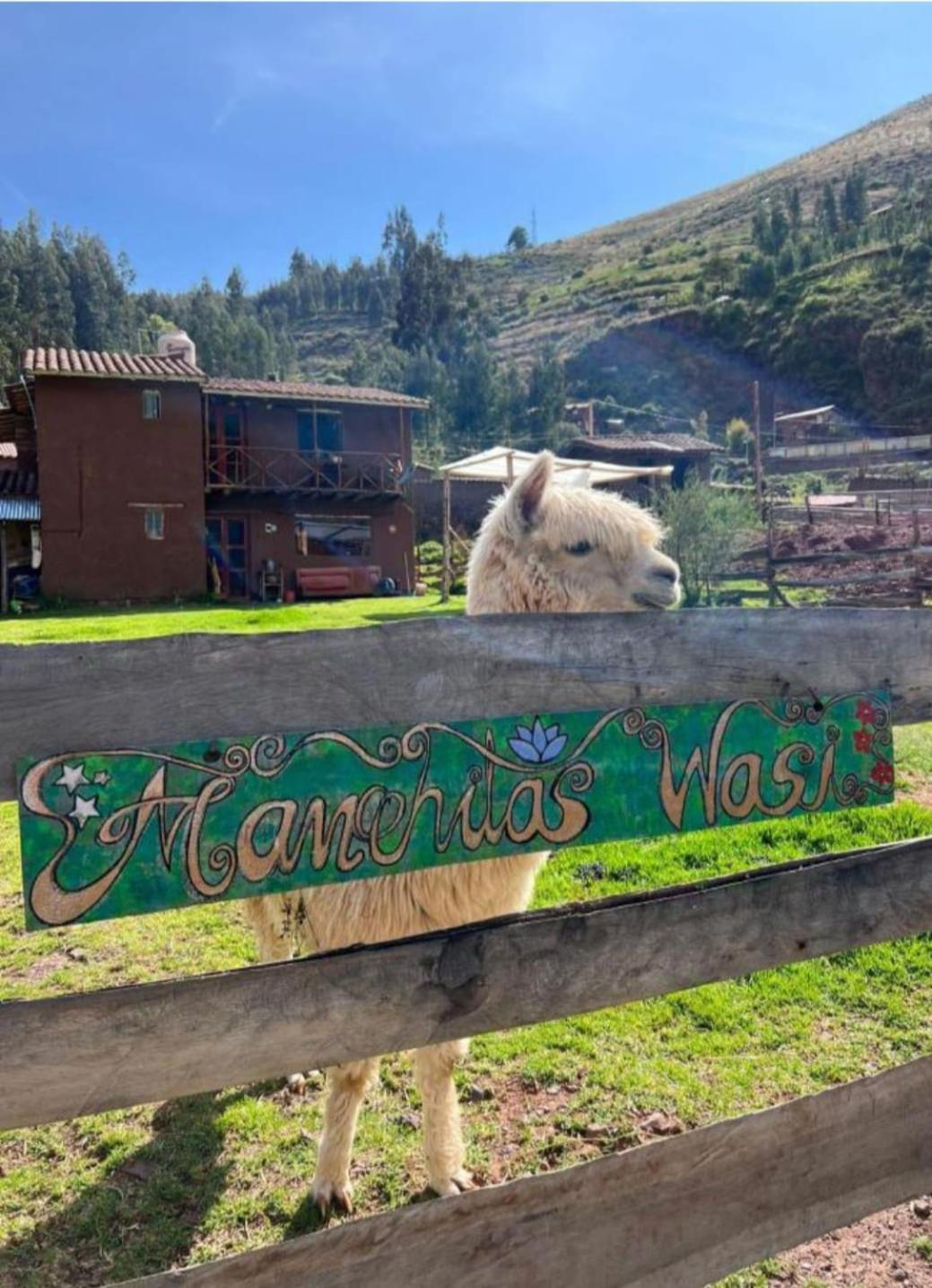 Appartement Manchitas Wasi à Pisac Extérieur photo